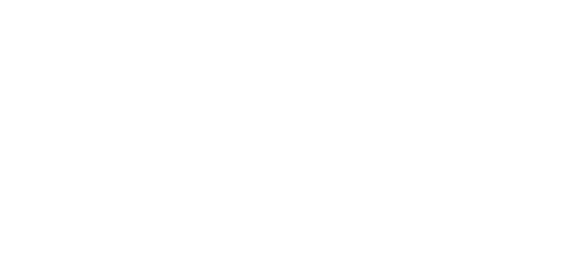 Orca Security
